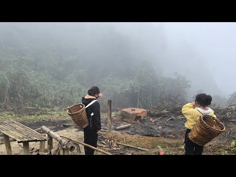 Luyen Takes Kieu Back to the Old Home – The Heartbreaking Truth That James Never Came to Visit .