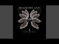 Shadowland