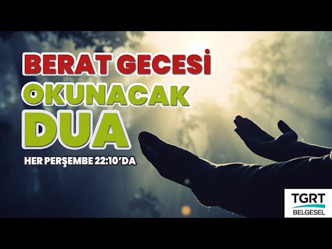 40 yıllık Kani olur mu Yani? Hekimoğlu Ali Paşa