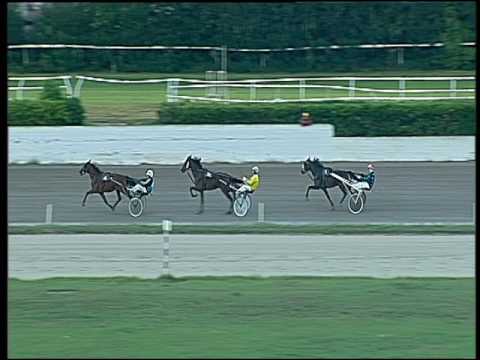 Trotto 18/09/2016 - 1ª prova di qualifica