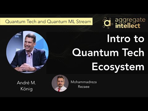 An Introduction to the Quantum Tech Ecosystem | AISC
