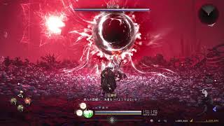 仁王3 初クリア記念【PS5】