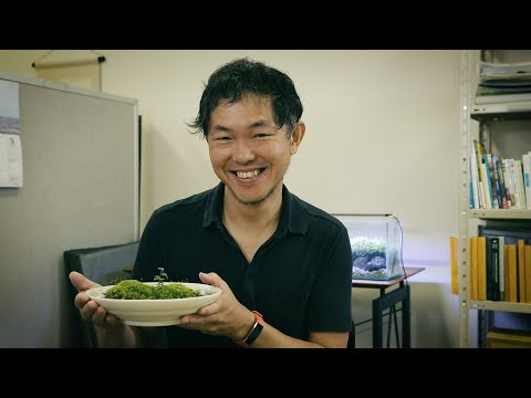 Identifying everything with the help of AI