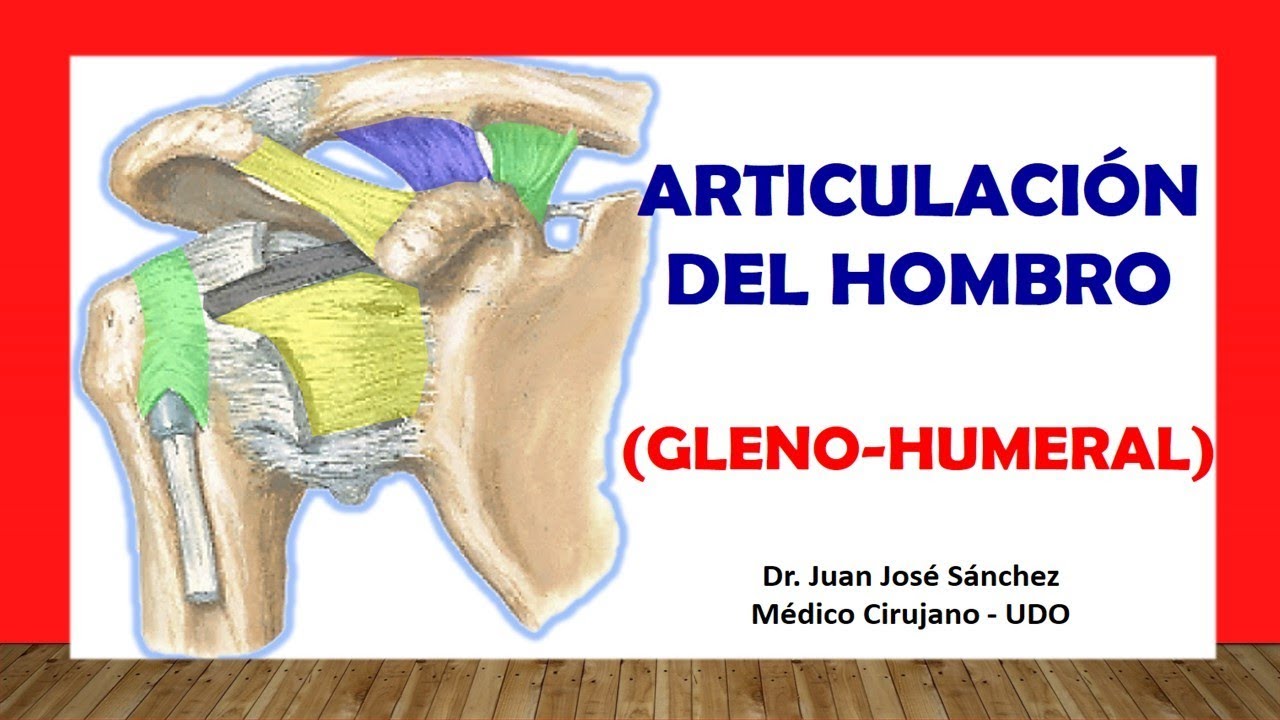 🥇 SHOULDER JOINT, (Glenohumeral). Easy, Quick and Simple