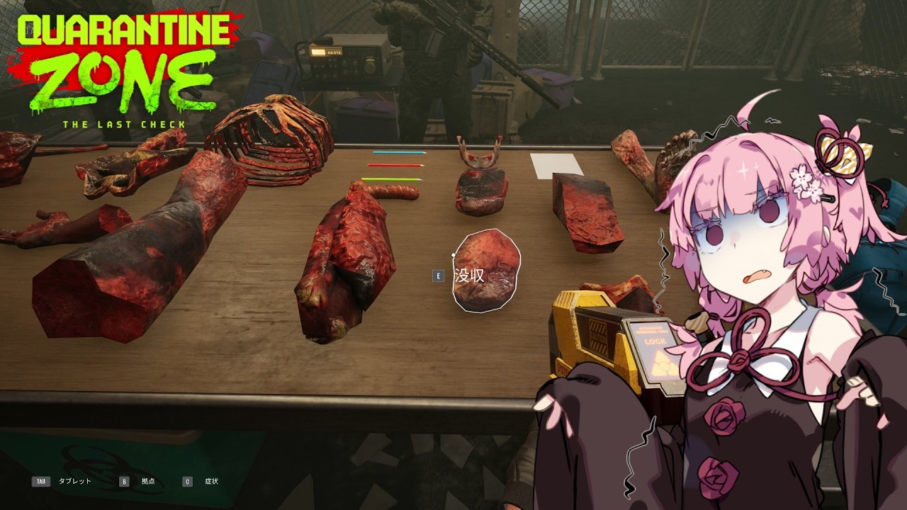 【QZSim】検疫官のお姉ちゃん #3【Quarantine Zone The Last Check】