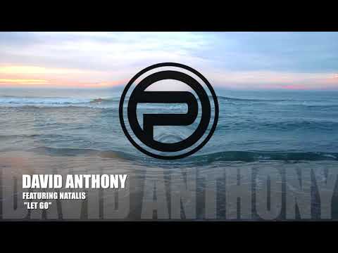 David Anthony Featuring Natalis Let Go Funky House Mix