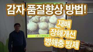 [효원농업기술TV] 농사의 달인 안이영 박사 - 감자 재배기술과 품질향상 관리방법