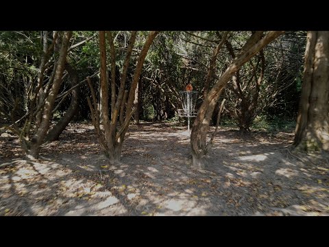 Tamanend Park Disc Golf Course