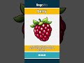 berry (noun) - definition and usage in English