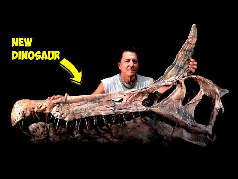 A New Dinosaur Was Just Found