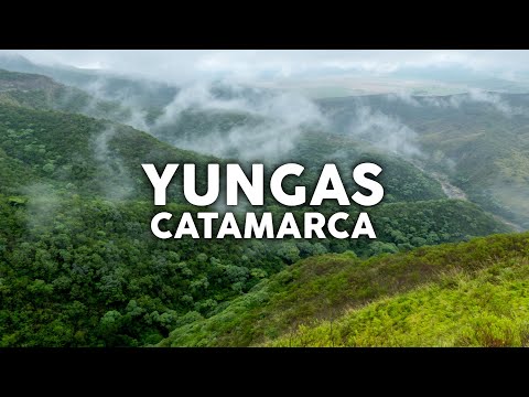 Yungas de Catamarca Documentary (2021)