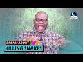 DREAM ABOUT KILLING A SNAKE - Find Out The Biblical Meaning Of Dream