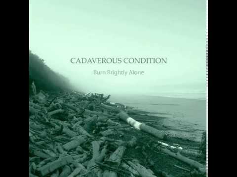 Cadaverous Condition: Driftwood