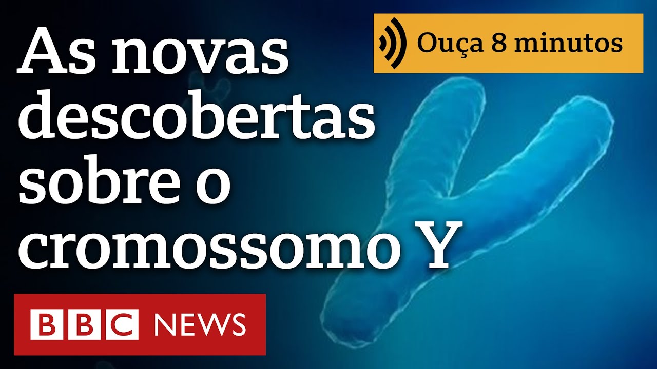 O que 1º sequenciamento completo do 'estranho' cromossomo Y revela sobre genética dos homens