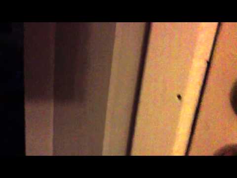 Blooper till en stressig morgon