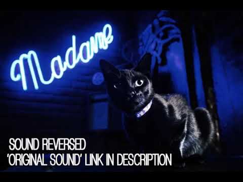 As Melhores do Madame Satã NIGHT CLUB VOL.2 @ Gothic | Post Punk | Dark Wave | Obscure 80s New Wave