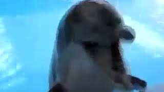 Razzo che Cazzo feat. R3nZ - Filipper