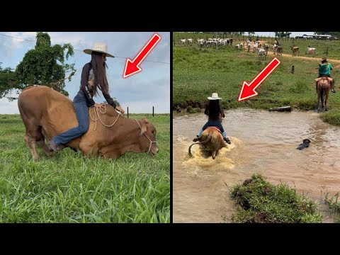 PREPARANDO MEU BOI PARA CAVALGADA DE OURILÂNDIA DO NORTE 😱