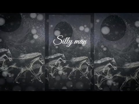 Mary May - Silly Man (Official lyric video)