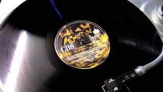 MIDNIGHT OIL -  Arctic world