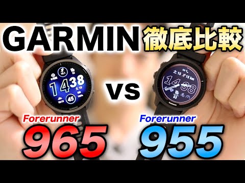 フォアランナーについて詳しく解説