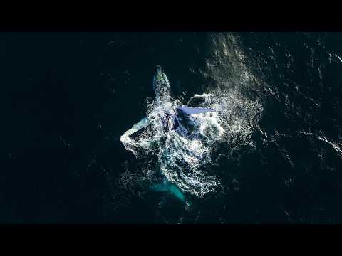 Echoes Of The Deep thumbnail