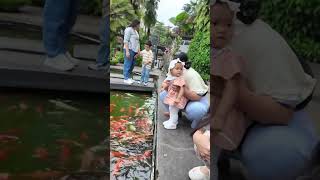 Download lagu Nadhira liat ikan bareng tante Agla #pemainfilm #artist #shorts #short #trending #youtubeshorts mp3