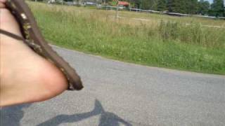 Astrid Lindgren - Pippi Långstrump - Sommarsången