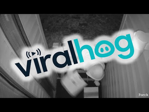 Guy gets tired of package thief taking his stuff, rigs a special surprise for him.