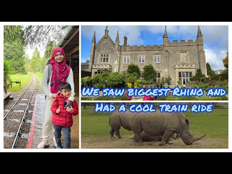 Day7: Seeing animals and train ride at Cotswold Wildlife Park & Gardens, Burford 🇬🇧