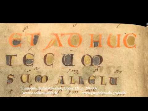 Introitus: Resurrexi