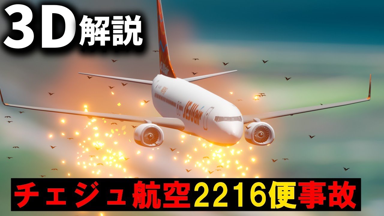韓国史上最悪の航空機事故 『チェジュ航空2216便事故』【３Ｄゆっくり解説】