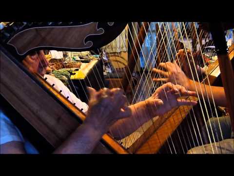 Duo Arpas del Tagua Tagua. Isabel Fuentes y Diego Barrera. Arpa Chilena. La Niña de Villa García.