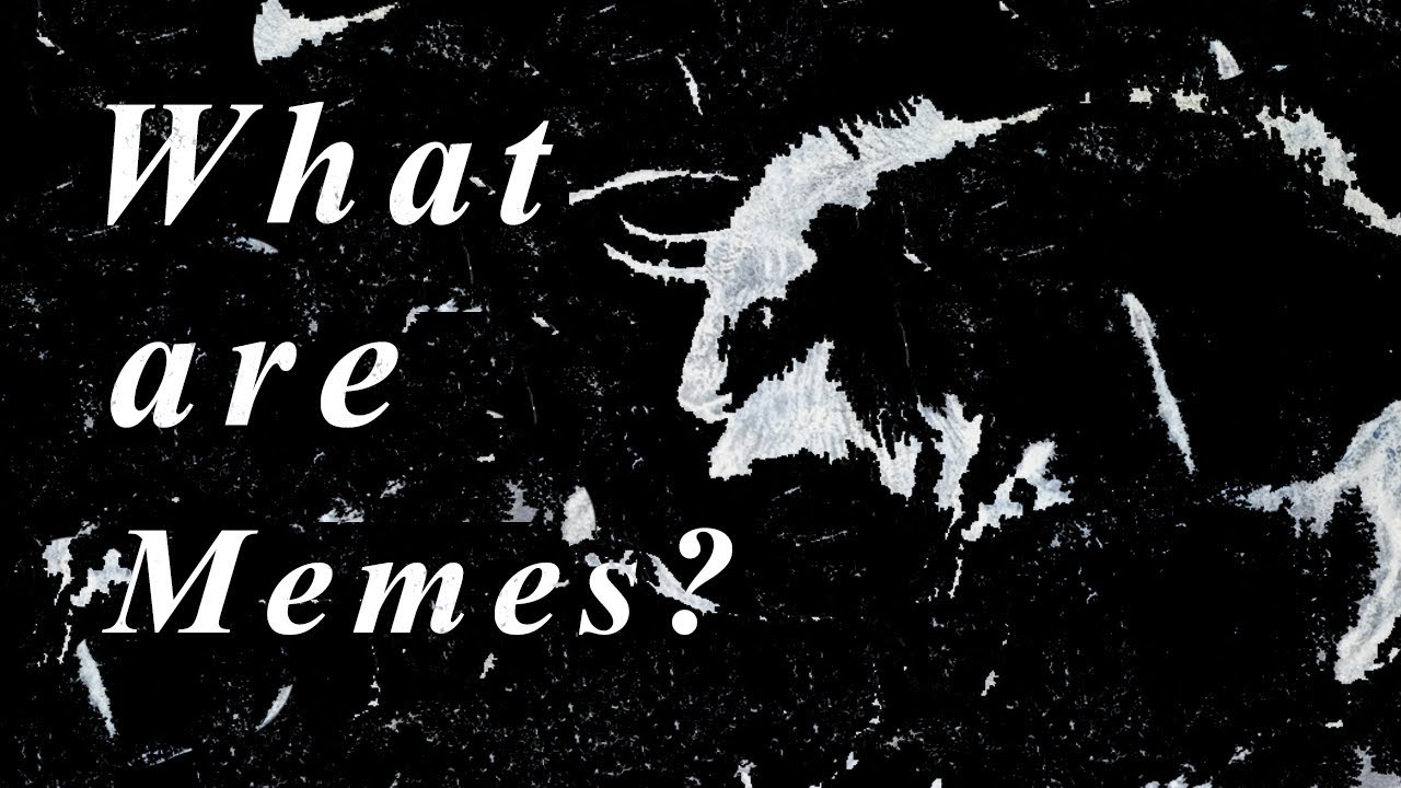 What Are Memes?
