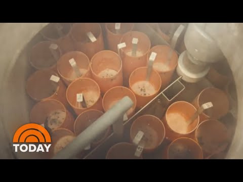 Abandoned Embryos From Fertility Treatment Create Ethical Dilemma | TODAY