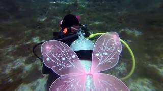 Scuba Diving Fairy
