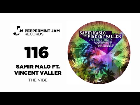 Samir Maslo feat. Vincent Valler - The Vibe