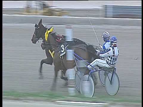 Trotto 19/01/2018 - 3ª corsa