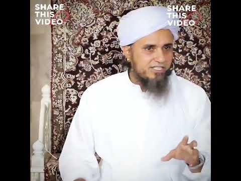 Cate Our Dog Fight #muftitariqmasood