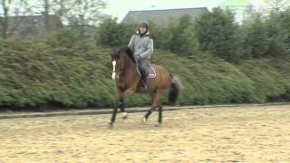 Video of Carrico