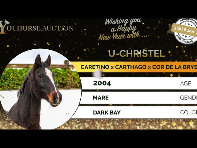 U-Christel