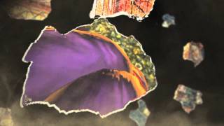 Brazil Game Show teaser 2