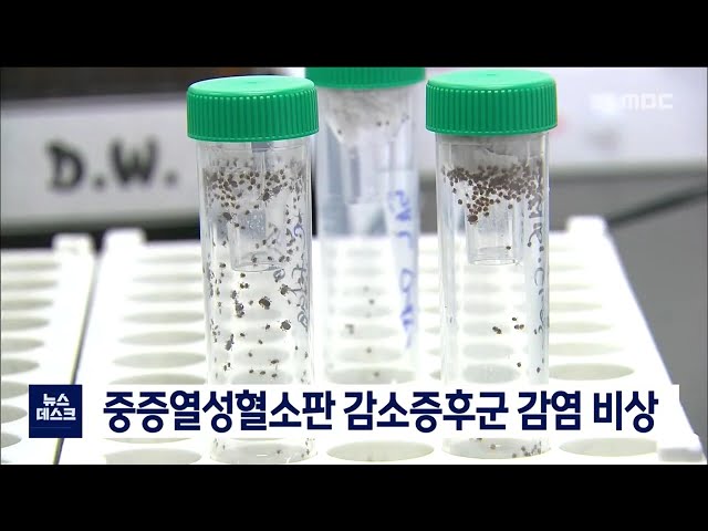 농촌지역 중중혈소판 감소증후군 비상