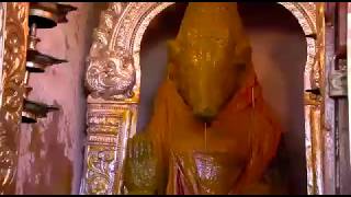 Varaha Amman  Abhishekam Video, Thanjavur- Tamilnadu