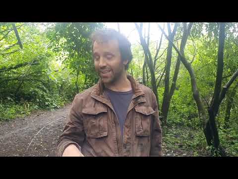 Introduction to the Make Up of the Woodland and Habitats