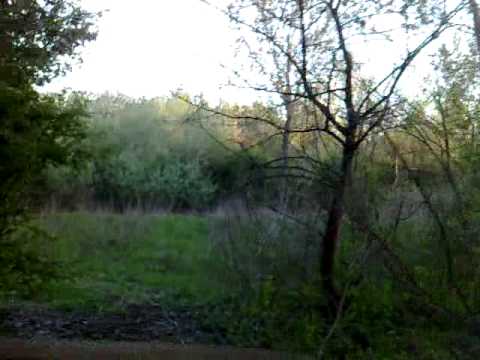 Prin Lunca Jiului-Secui