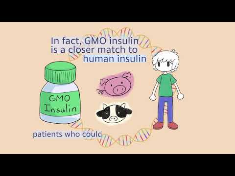 Insulin: A GMO Story