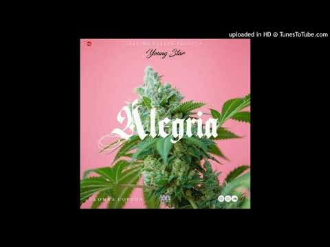 Alegria [ Rufino Golden produce ] x Young Star