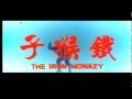 IRON MONKEY 1977
