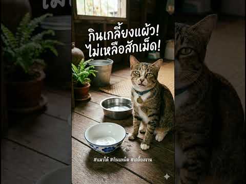คลิกเพื่อดูคลิปวิดีโอ